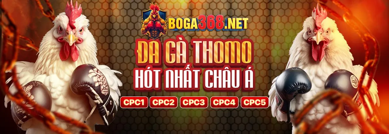 Banner khuyến mãi đá gà Zomclub Apk