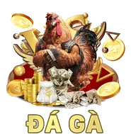 Mở ứng dụng và đăng nhập/đăng ký